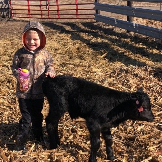 Child smiling while standing next to a black calf in a barnyard setting, wearing a camouflaged jacket and holding a colorful drink cup. The background features a red gate and straw-covered ground, highlighting a rural farming environment.