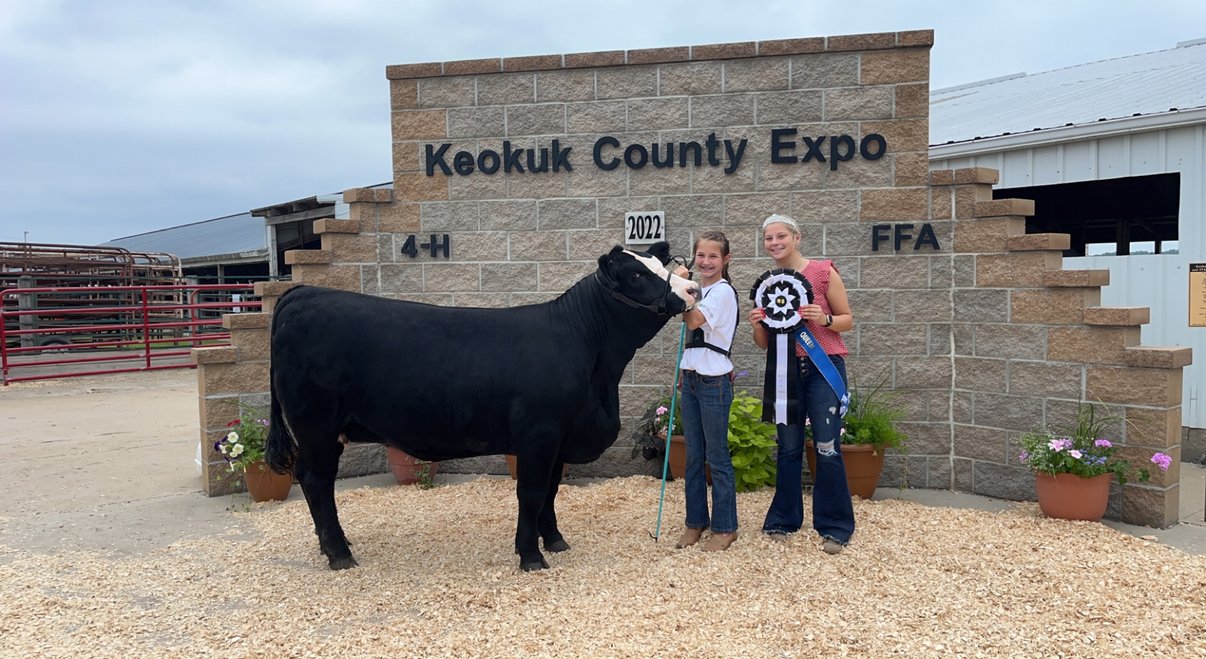 Two young girls proudly pose with a black cow at the Keokuk County Expo, showcasing their 4-H and FFA achievements. One girl holds a blue ribbon, while the other stands next to the cow, both smiling in front of the event backdrop.
